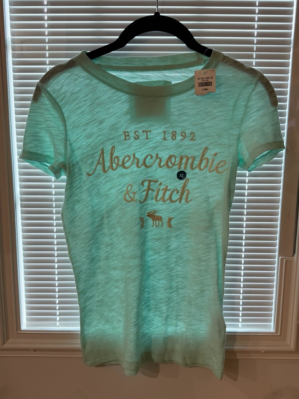 Abercrombie & Fitch Women's Mint Green Logo Tee NWT size XS